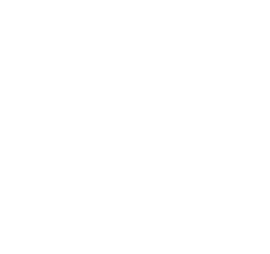 Westinghouse Generators